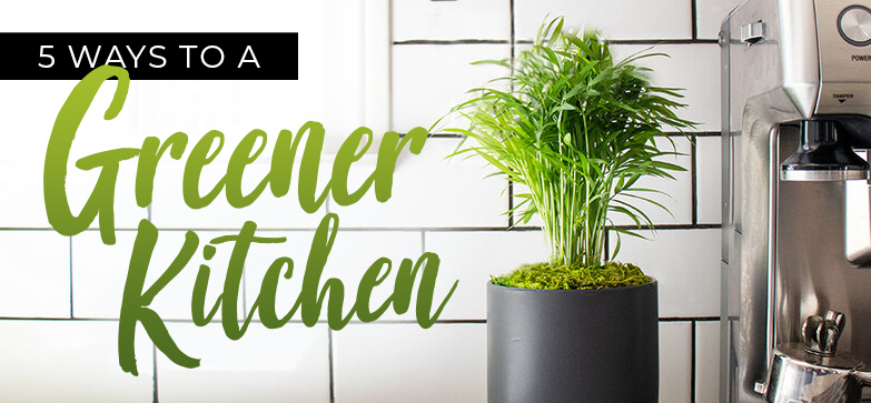 GreenerKitchen